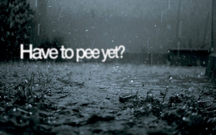 Have to pee yet? text on rainy background