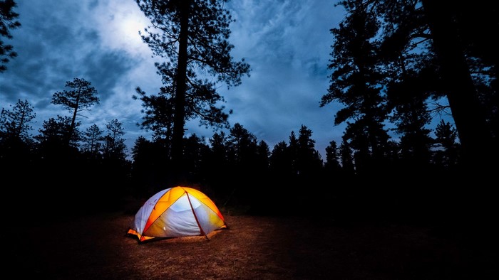 Illuminated tent in a dark forest at dusk