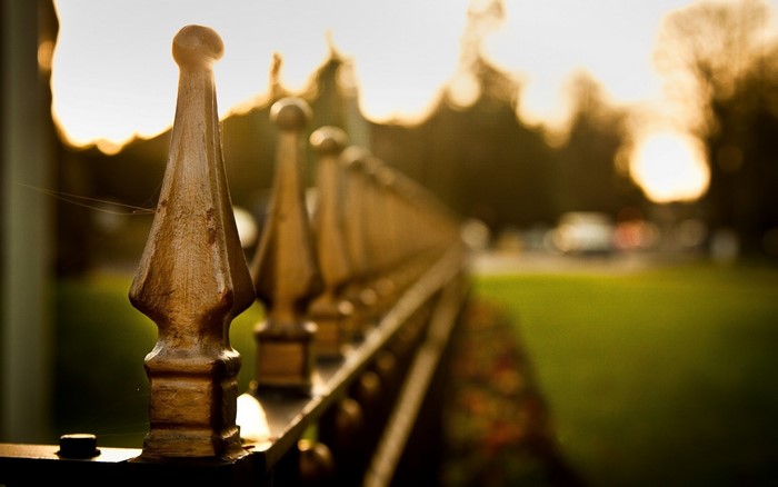 Golden fence posts in the sunlight