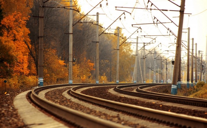 Train tracks curving through autumn trees with overhead wires