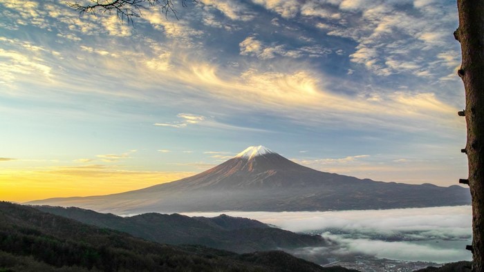 Mount Fuji at sunrise with clouds and tree