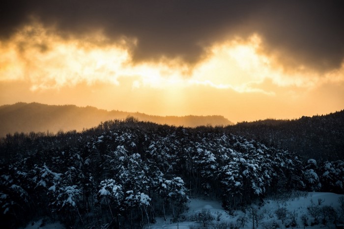 Snow-covered forest landscape at sunset with dramatic clouds