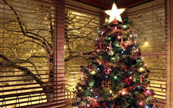Decorated Christmas Tree with Star and Lights