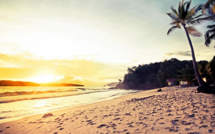 Sunset over a tropical beach with palm trees