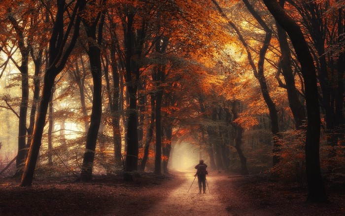 Photographer walks on a dirt road in an autumn forest