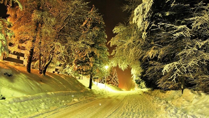 Snowy road through a forest at night