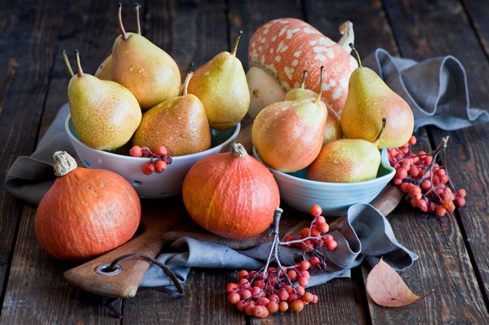 Still life of pears and pumpkins with berries