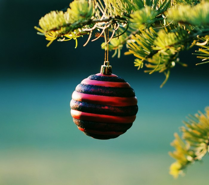 Red and black striped Christmas ornament on a fir tree branch