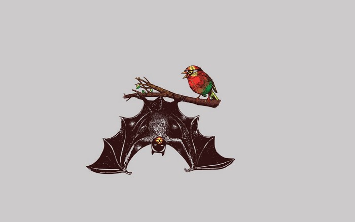 Bat hanging from a branch with a bird