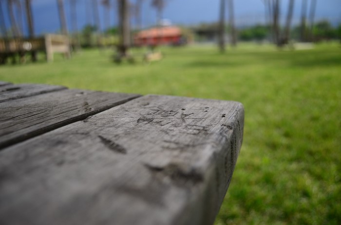 Close-up of carved wooden picnic table in park