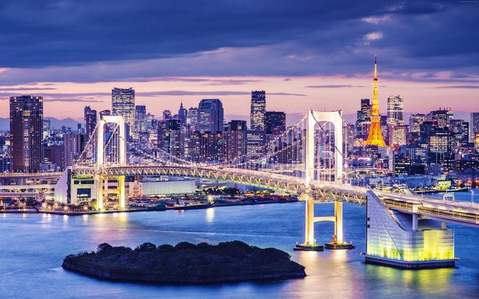 Tokyo Bay at night with Rainbow Bridge and Tokyo Tower