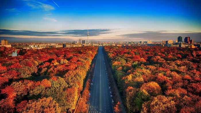 Berlin cityscape with autumn trees and road