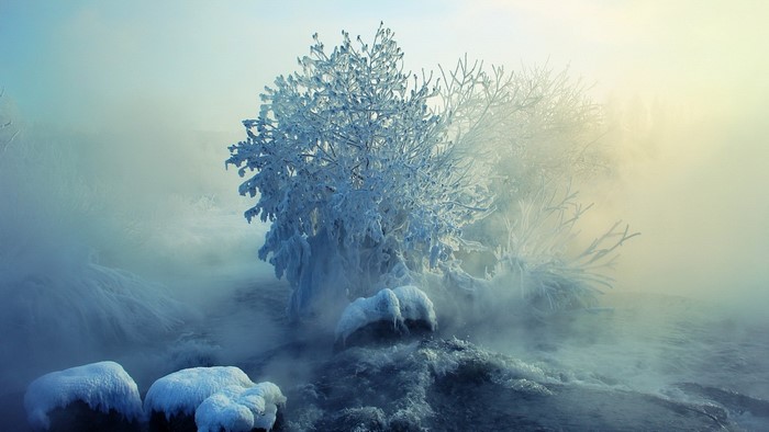 Frozen trees and rocks in misty winter landscape