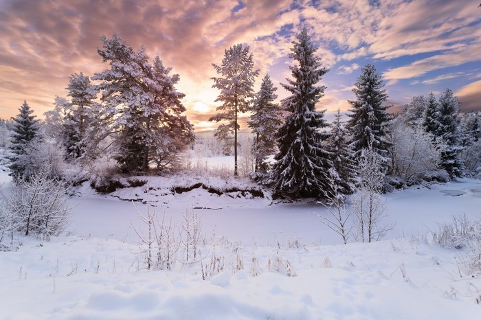 Snow-covered pine trees by a frozen river at sunset