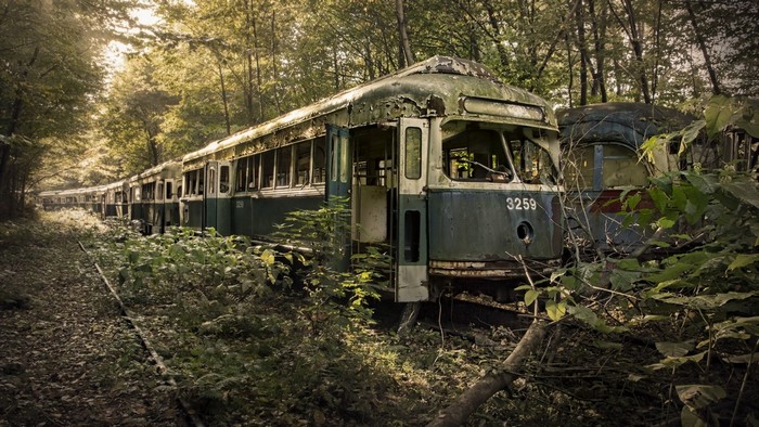 Abandoned train cars overgrown with vegetation in a forest