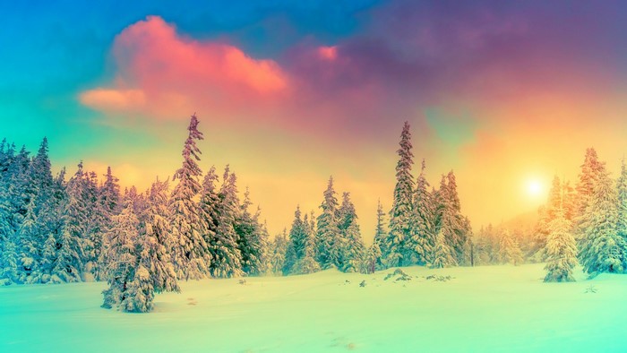 Snowy forest with colorful sunset sky