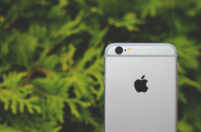 Silver iPhone 6 with Apple logo on green foliage background
