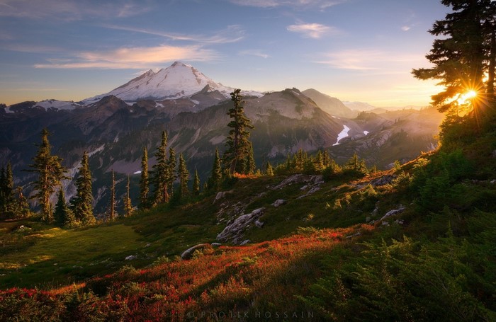 Sunset Over Mountain Valley and Pine Forest