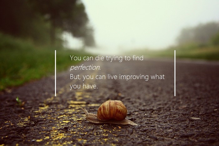 Snail on a road with a quote about perfection
