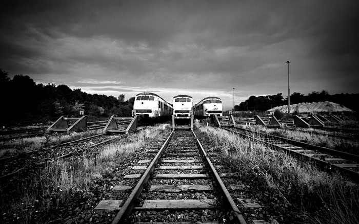 Three trains on tracks in a monochrome setting