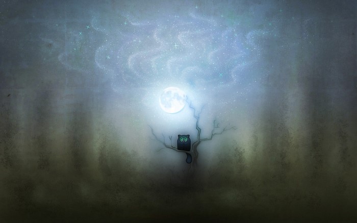 Owl on a branch under the moon