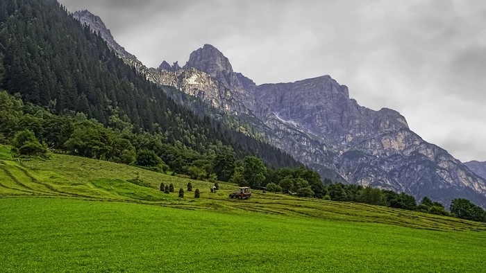 Tractor in a green meadow with mountains and forest