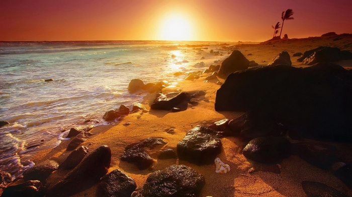 Sunset over a rocky beach with palm trees