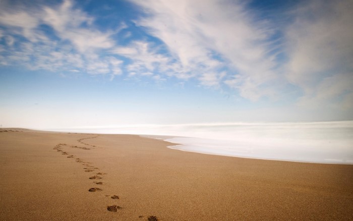 Footprints on a sandy beach with ocean and clouds