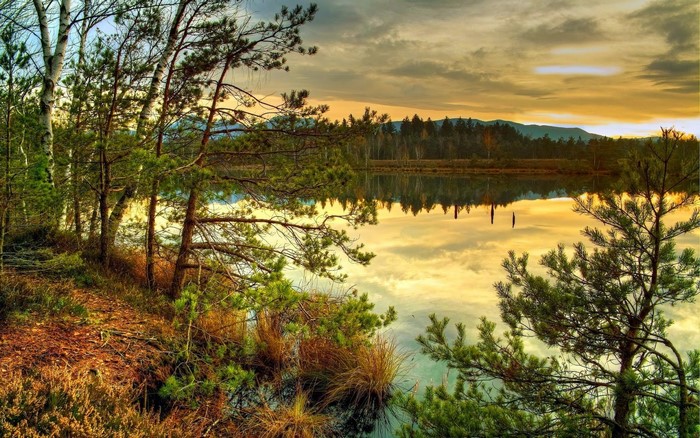 Trees reflecting in a lake at sunset