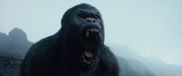 Kong from The Legend of Tarzan