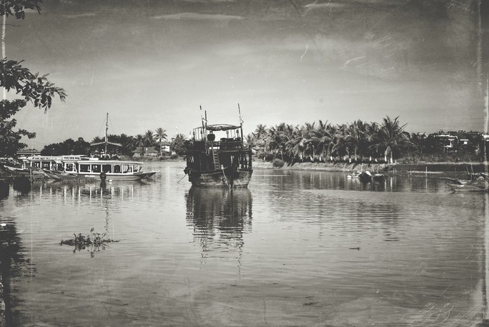 Boats on a river with palm trees
