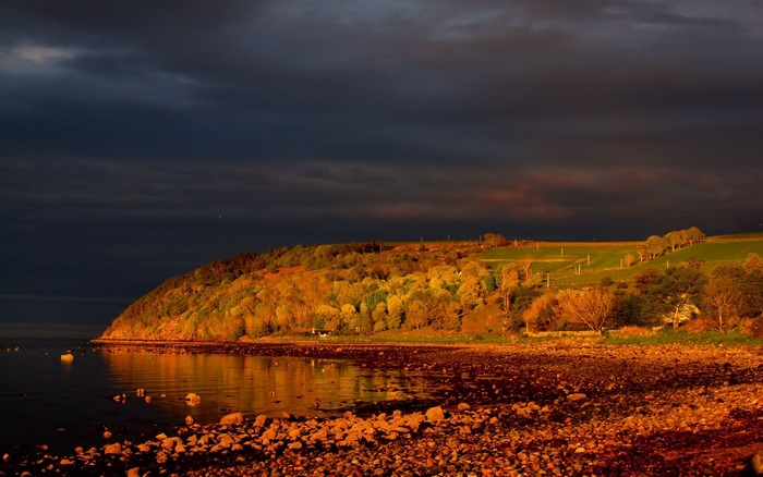 Hillside with trees and sea at sunset