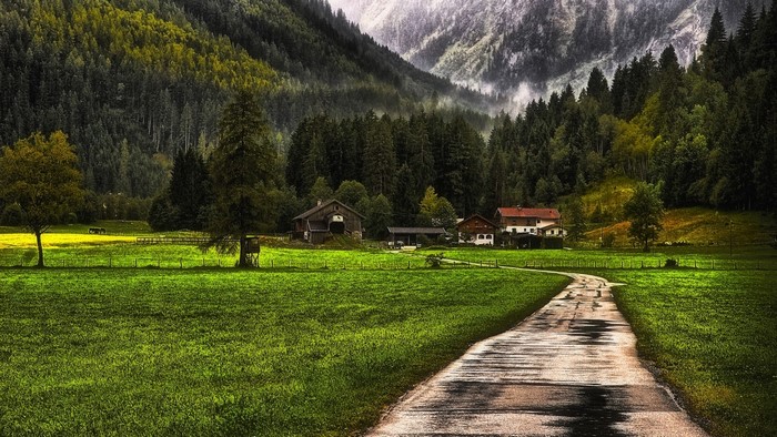 Peaceful Countryside Road Through Green Valley
