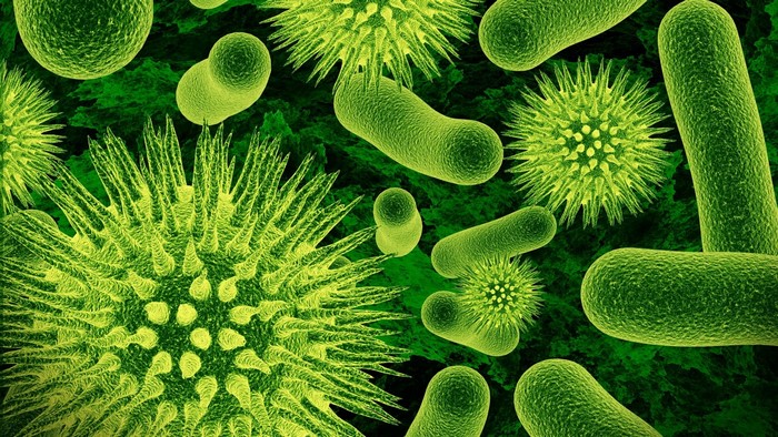Microscopic view of green bacteria and viruses