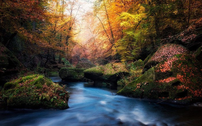 Autumn forest river with colorful leaves and mossy rocks