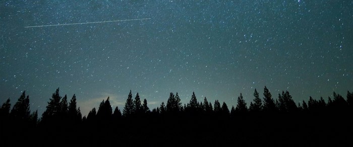 Starry night sky over a silhouetted forest with a meteor streak