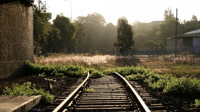 Abandoned railway tracks with overgrown vegetation