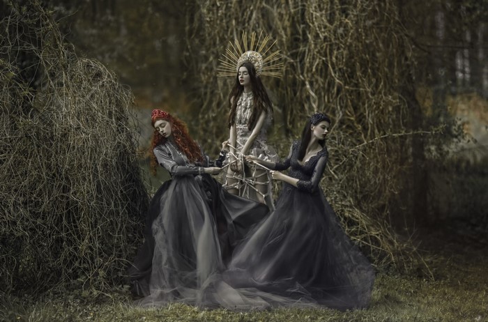 Fantasy art of three women in a forest