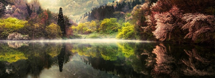 Misty lake reflecting colorful spring trees in South Korea