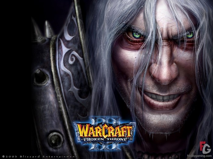 Arthas Menethil from Warcraft The Frozen Throne