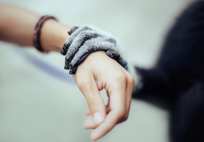 Monkey's paw on a human hand