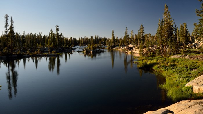 Lake and forest with reflections at sunrise