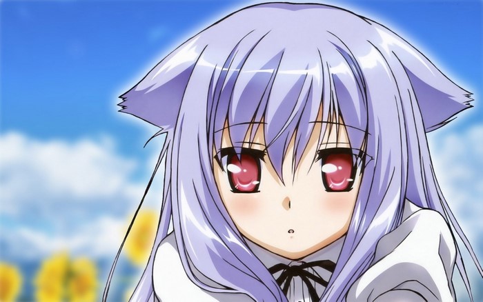 Kiriya Nozomi from Mayoi Neko Overrun