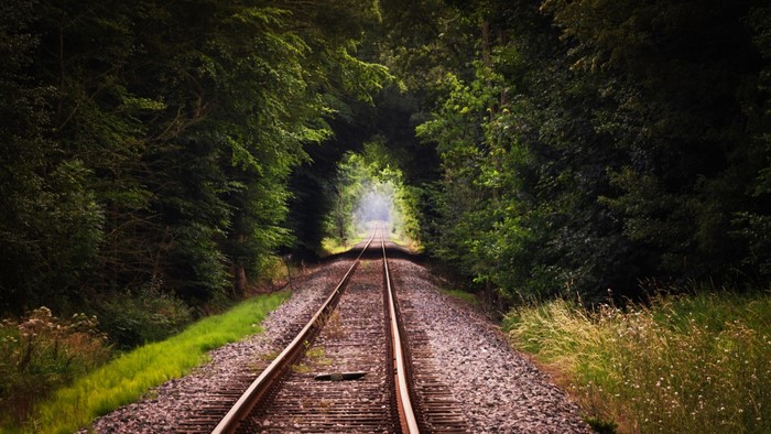 Railway tracks through a green forest tunnel