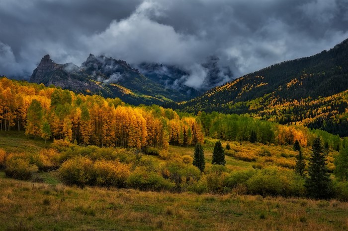 Autumn forest on a mountain slope under stormy clouds