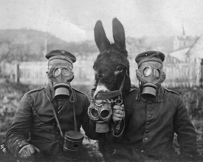 Soldiers in gas masks with a donkey during WWI