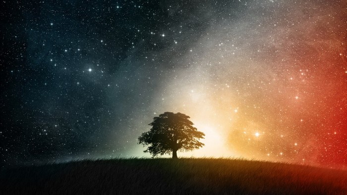 Lone tree under a starry sky with colorful nebula