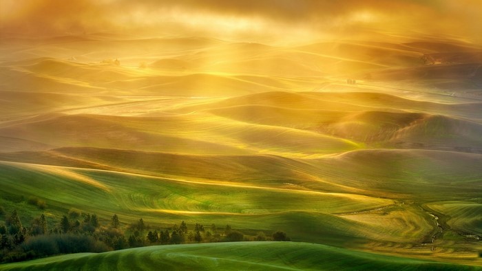 Golden sunlight over rolling green hills at dawn