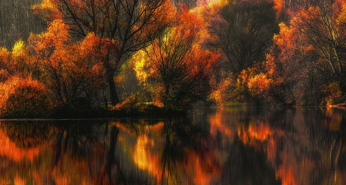 Autumn trees reflecting in a lake at sunset