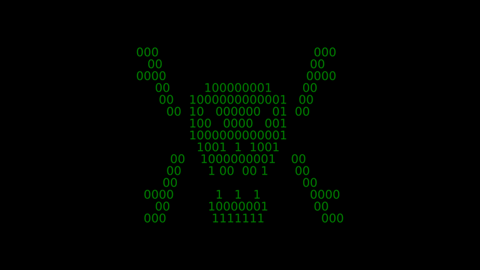 Binary skull and bones